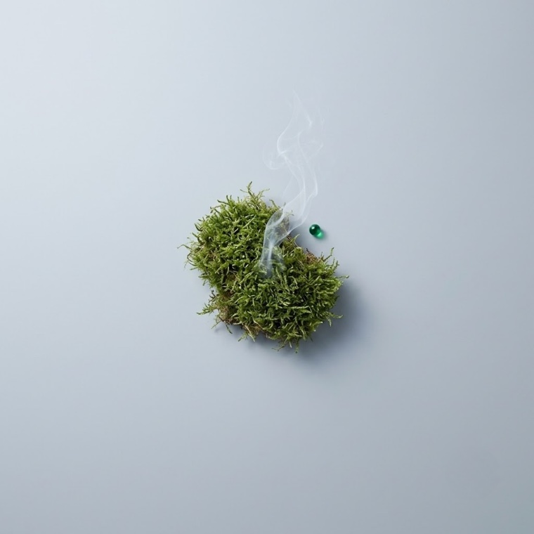 Base notes — moss and musk