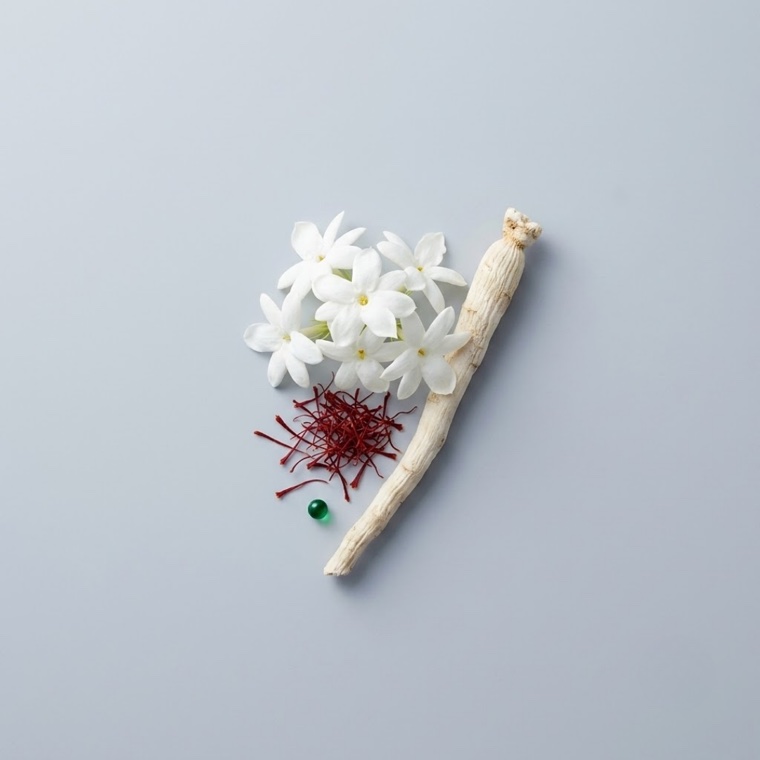 Heart notes — jasmine sambac, saffron and iris